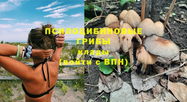 PSILOCYBIN Алзамай