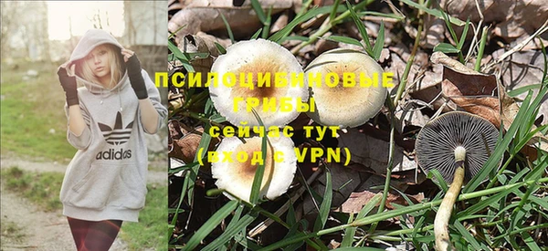 Альфа ПВП Абаза