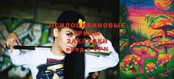 Альфа ПВП Абаза