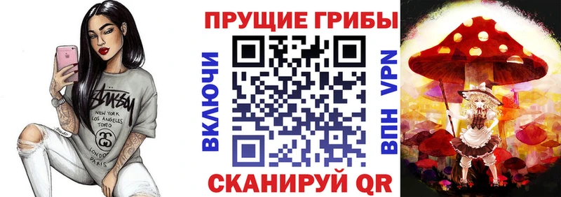дарнет шоп  Юхнов  Псилоцибиновые грибы ЛСД 